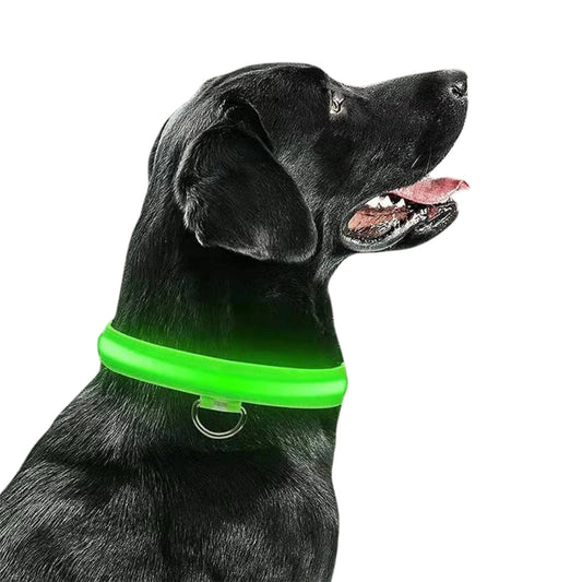 LED-Hundehalsband