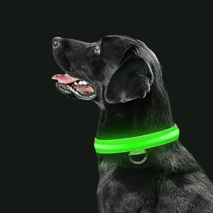 LED-Hundehalsband