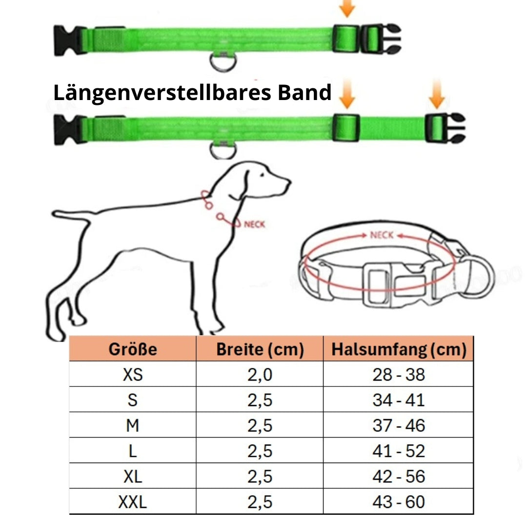LED-Hundehalsband