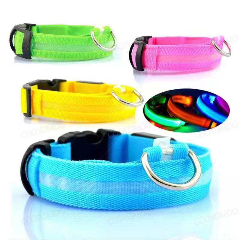 LED-Hundehalsband