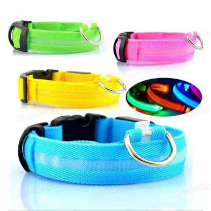 LED-Hundehalsband
