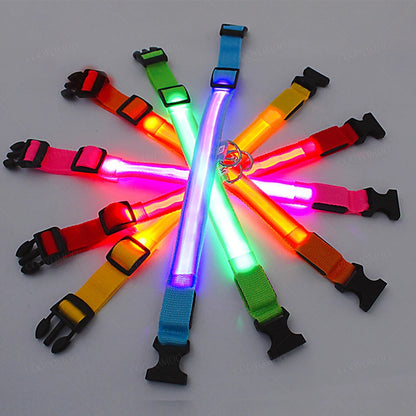 LED-Hundehalsband