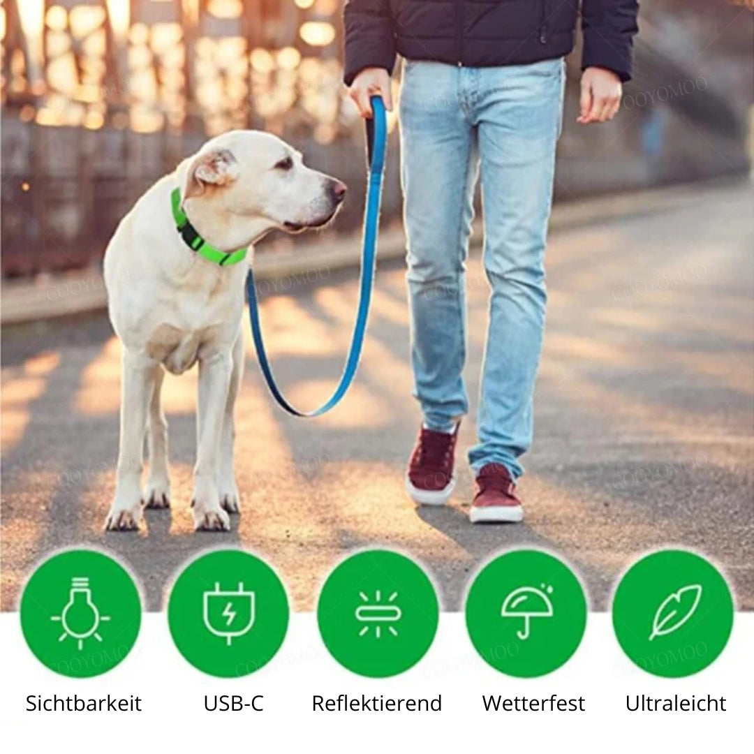LED-Hundehalsband